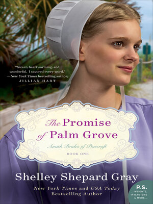 cover image of The Promise of Palm Grove
